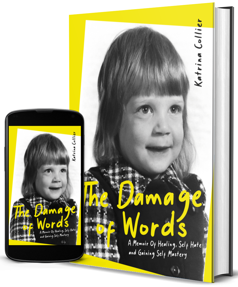 Picture of the cover of The Damage of Words