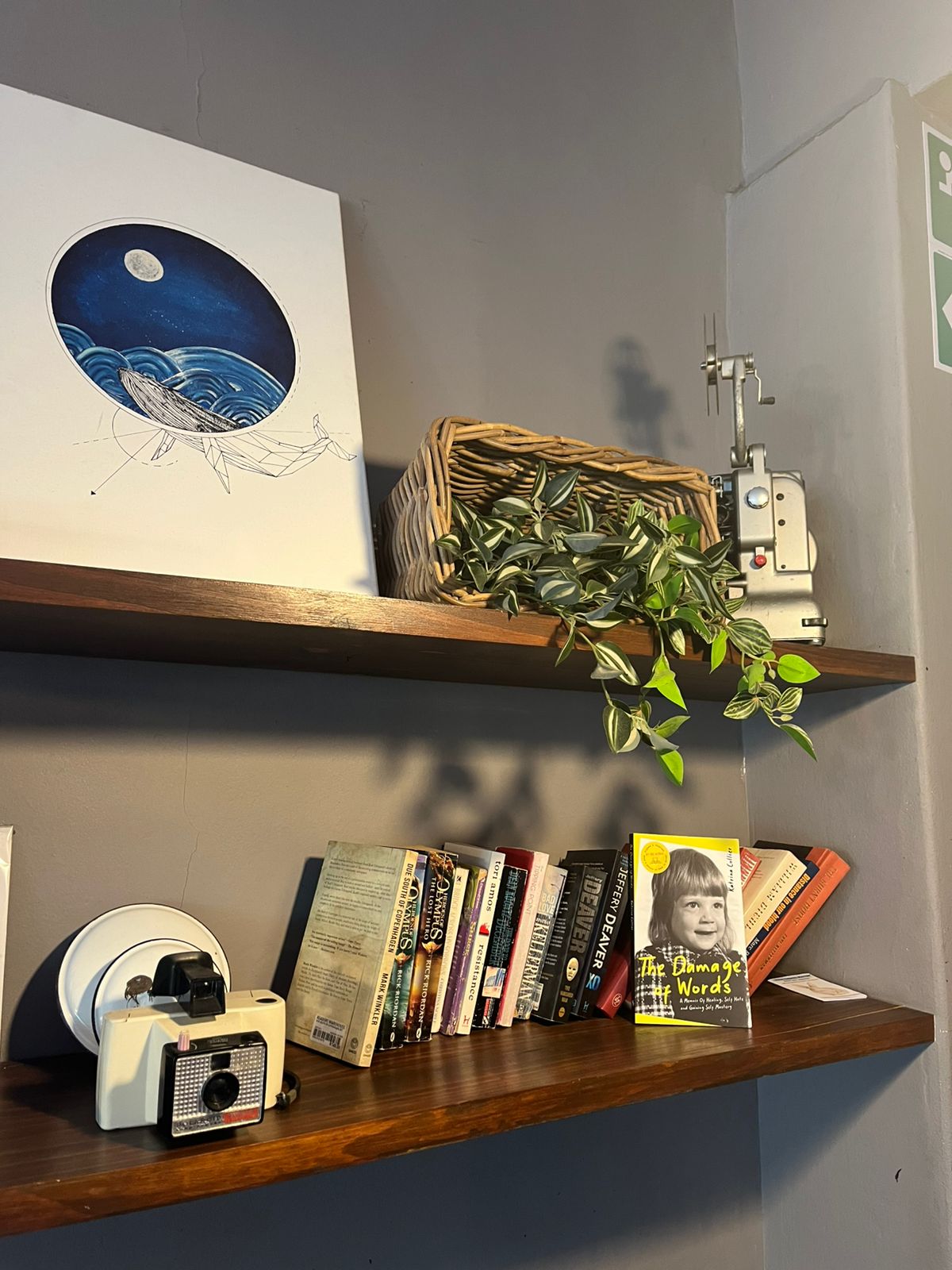 96. Red Sofa Cafe, Cape Town - dropped by Elzette Fourie 96. Red Sofa Cafe, Cape Town - dropped by Elzette Fourie